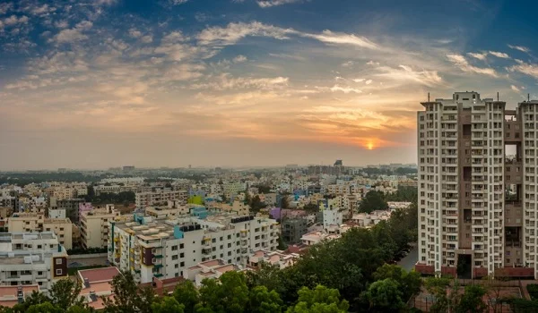 Featured Image of About Whitefield