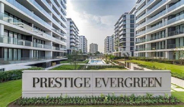 Featured Image of Why Prestige Evergreen Stands Out